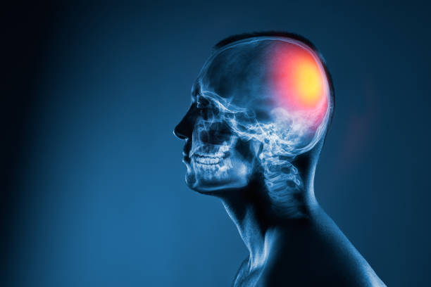 istockphoto-1333497908-612x612